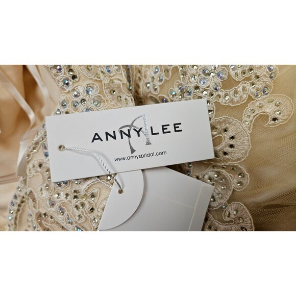 NWT Anny Lee Tan Sleeveless V Neck A Line Embroidered Zip Women's Dress Size S - Picture 6 of 14